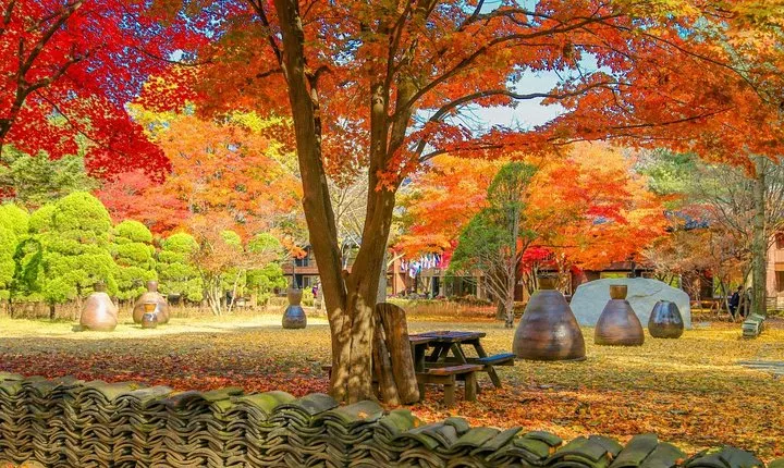 Private Trip to Nami Island and Ski Resort