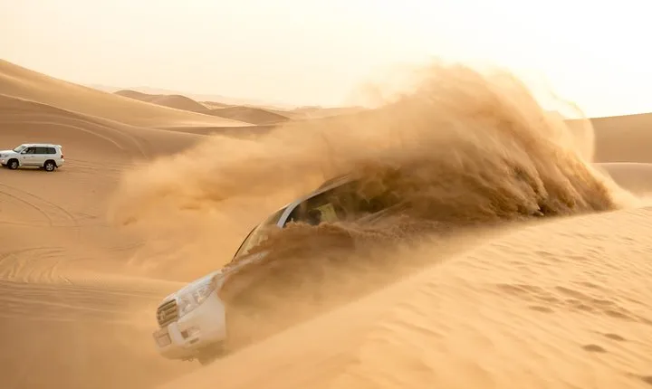 Abu Dhabi Morning Desert Safari