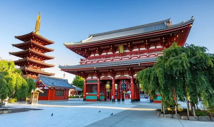Tokyo Private Tour with English Speaking Driver
