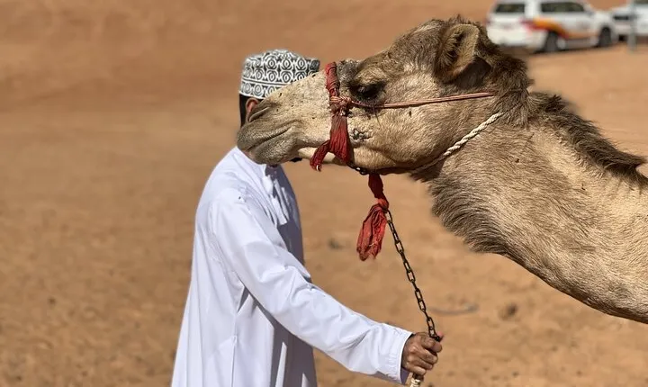Full-Day Private Tour of Wahiba Sands Desert and Wadi Bani Khalid