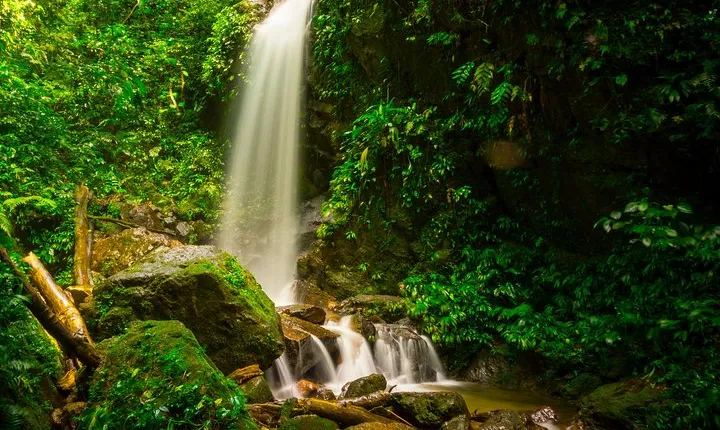 Azul Meambar National Park Day Tour From San Pedro Sula