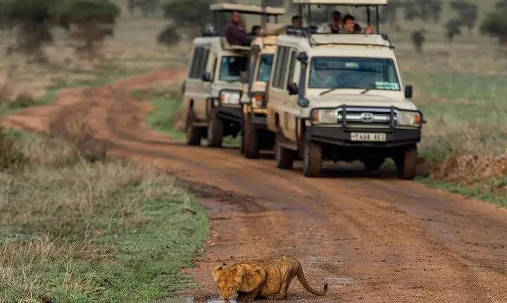 4 Days Serengeti, Ngorongoro and Tarangire Safari
