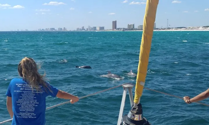 Panama City Beach Dolphin Sightseeing Sail