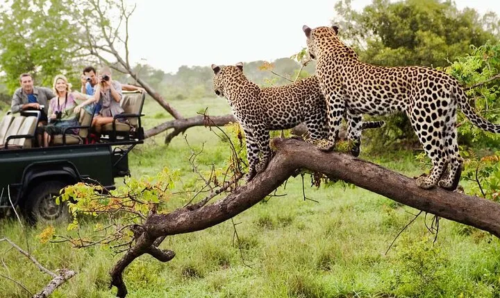 Kruger National Park & Blyde River Canyon Tour from Johannesburg