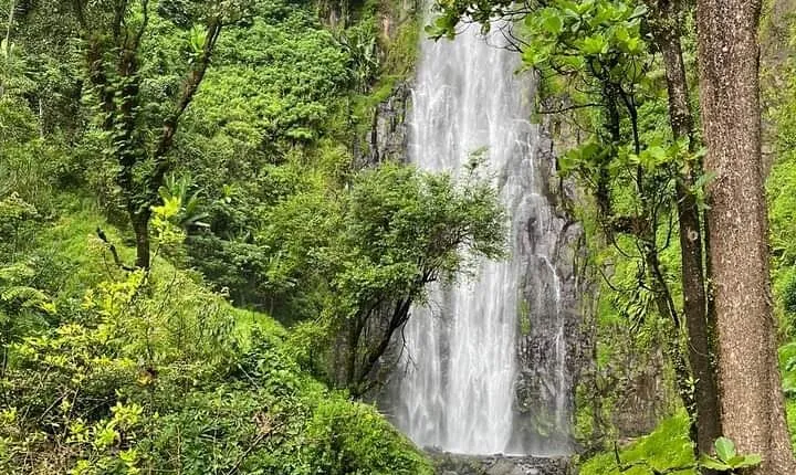 Materuni Waterfall , Coffee Tour and Hotsprings (Chemka )