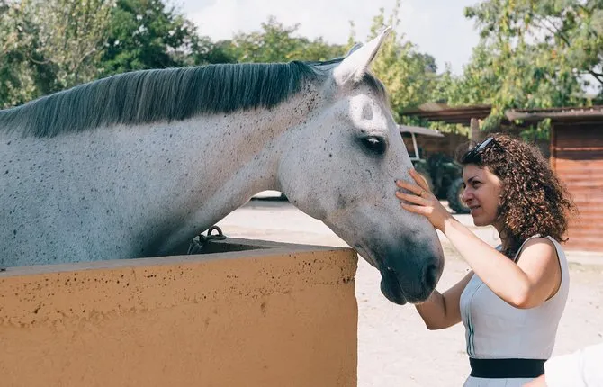 Horseback Riding tour with lunch and Wine Tasting
