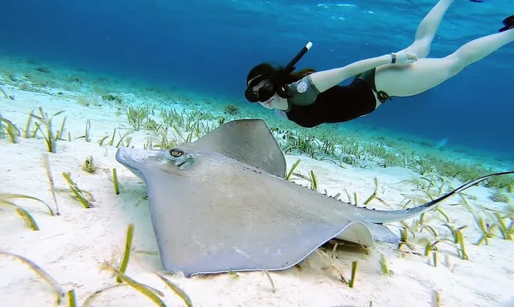 El Cielo Cozumel Snorkeling tour by Private Boat