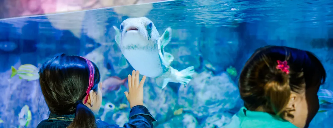 SEA LIFE Aquarium San Antonio tickets