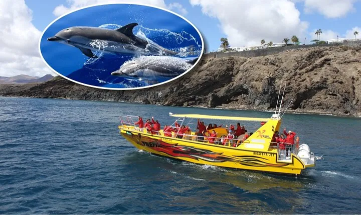 Dolphin Watching Mini Cruise and Snorkeling from Lanzarote