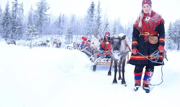 Aurora Hunting with Reindeer Caravan