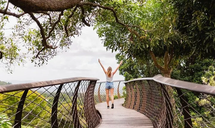 Half Day Tour: Table Mountain & KirstenBosch Botanical Gardens