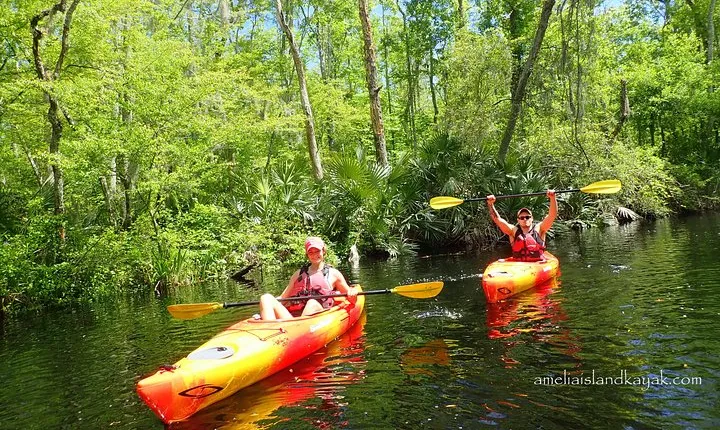 Self Guided Family Friendly Kayak Rental Experience Old Florida