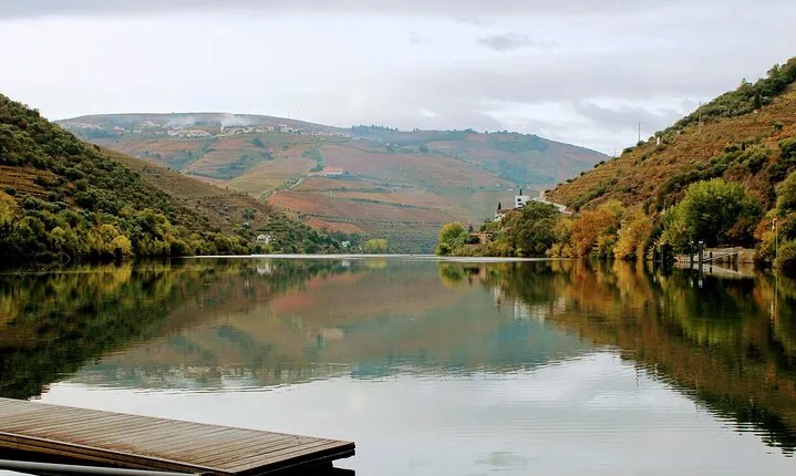 Douro Valley: From Casal de Loivos to Pinhão Walk and Wine Tour