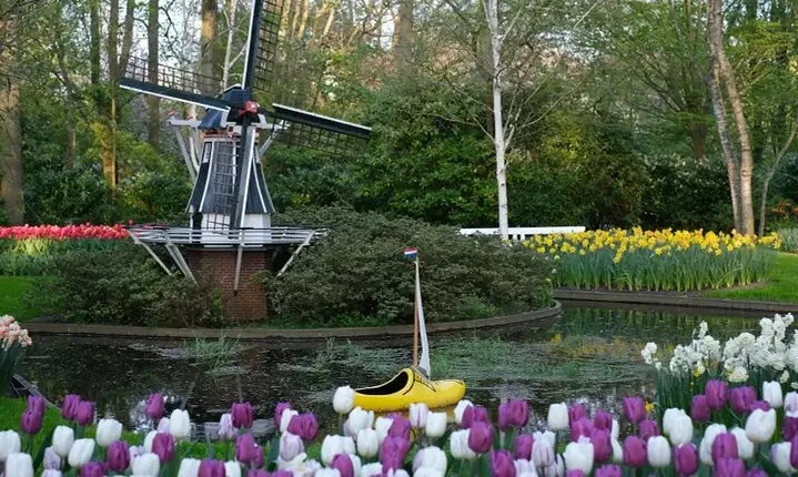 Blooming Beauty: Exploring Haven of Colors at Keukenhof Gardens