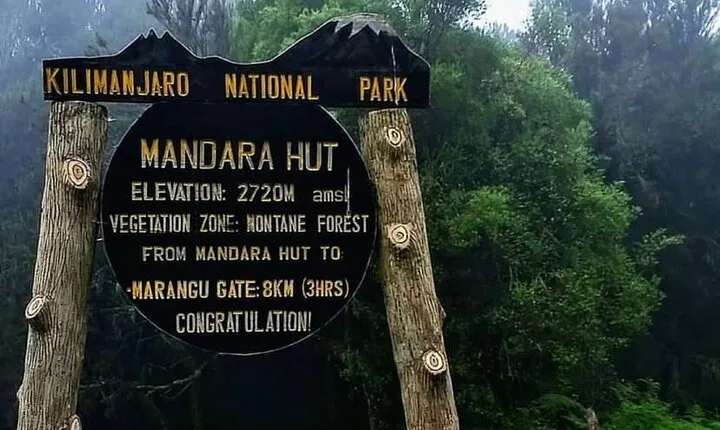 Mount Kilimanjaro Day Hike Up to Mandara Hut