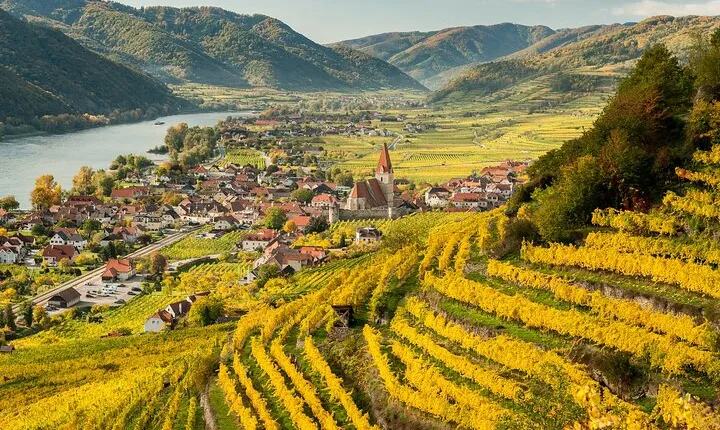 Full-Day Private Wachau Valley Wine Tour Experience from Vienna