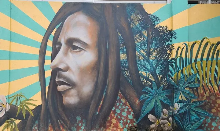 Bob Marleys One Love Private Tour 9 Mile