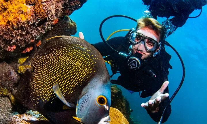 Scuba Diving in Rio de Janeiro