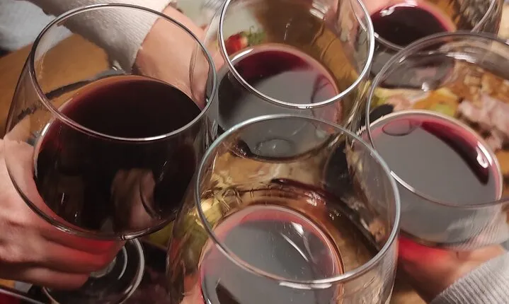 Zinfandel Wine Tasting & Storytelling with Dalmatian Food