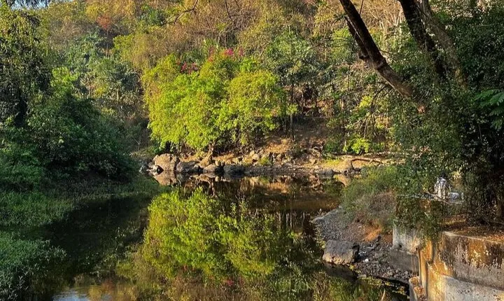 Sanjay Gandhi National Park and Kanheri Caves Day Private Tour