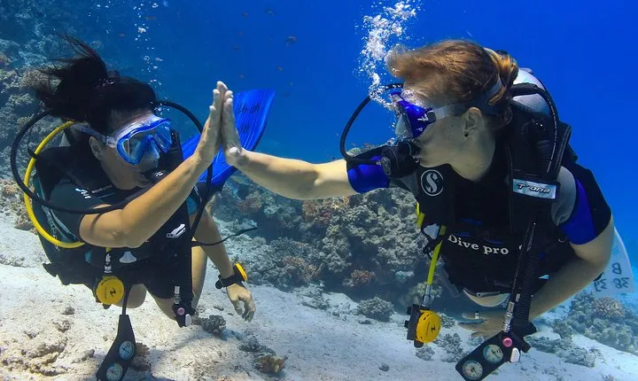 2-Dive adventure-Safe & Top-rated boat for Certified Divers
