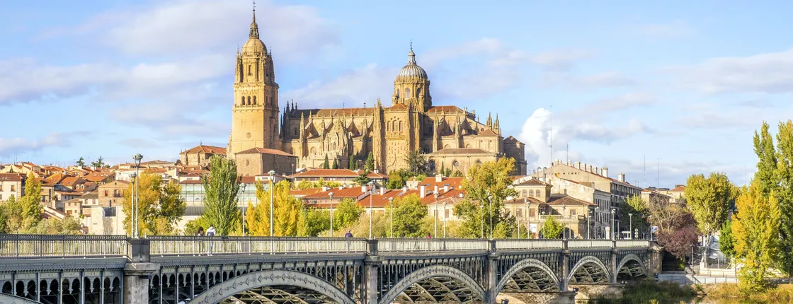 Panoramic Salamanca guided tour
