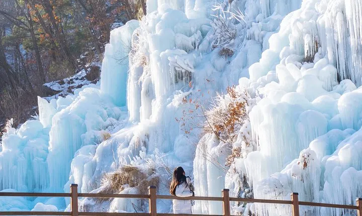 Eobi Valley, Alpaca World, Nami Island, Railbike/Garden fr Seoul