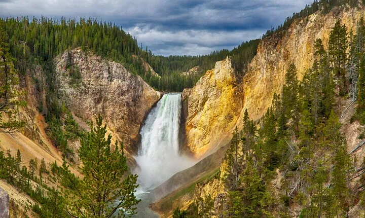 From Bozeman Exclusive Yellowstone Tour 2 Days and 1 Night