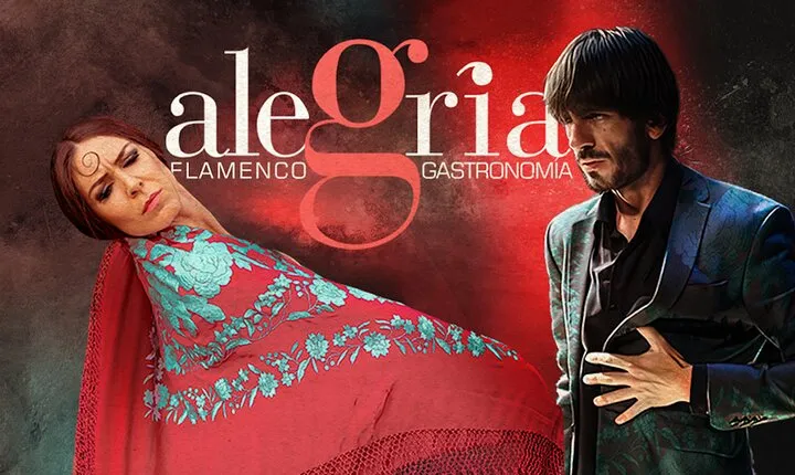 Authentic flamenco show. Alegria and gastronomy Malaga