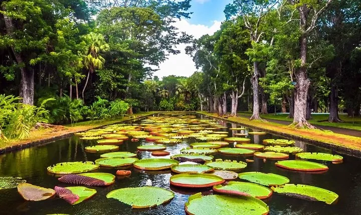 Magical North: Full Day Private guided North Tour