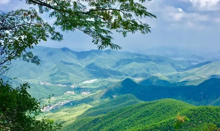 Private Round Trip Transfer to Mogan Mountain from Hangzhou