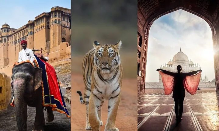7 Days Golden Triangle Tour with Ranthambore and Udaipur