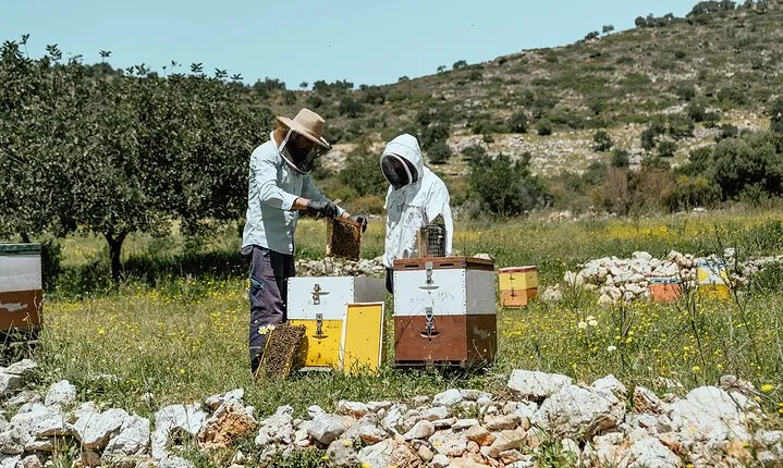 Discover Crete Privately:Wine, Honey, History, and Local Cuisine