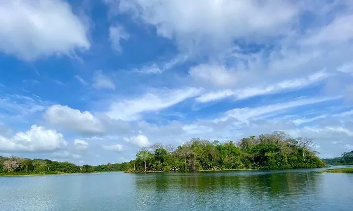 Monkey Watch and Gatun Lake Wildlife Safari Private Tour