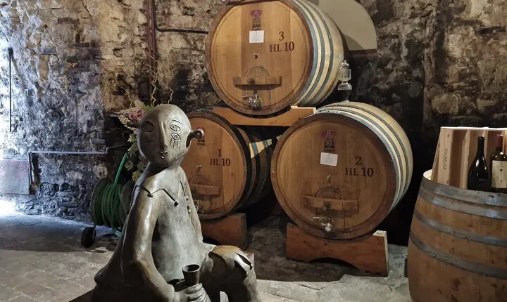 Montepulciano Wine Tasting Private Tour from Rome