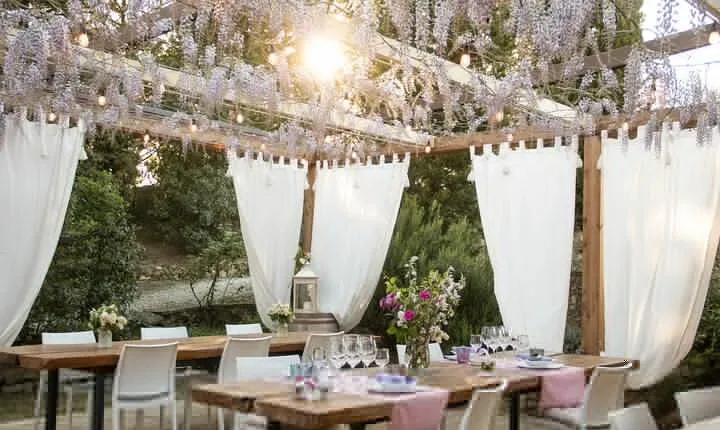 Wine and food tasting in an organic family winery