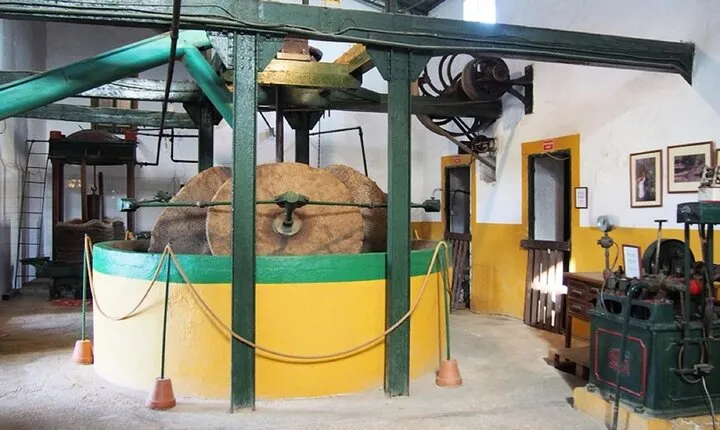 Oil Mill and Agro-Food Market from Costa del Sol Day Tour