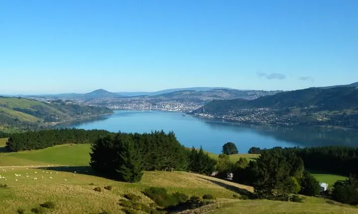 Otago Peninsula Scenery and Dunedin City Highlights Tour