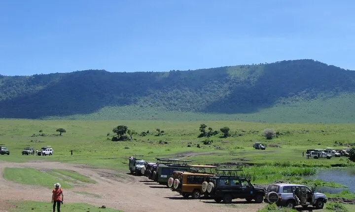 3 Day Private Serengeti National Park Tour from Zanzibar by Plane