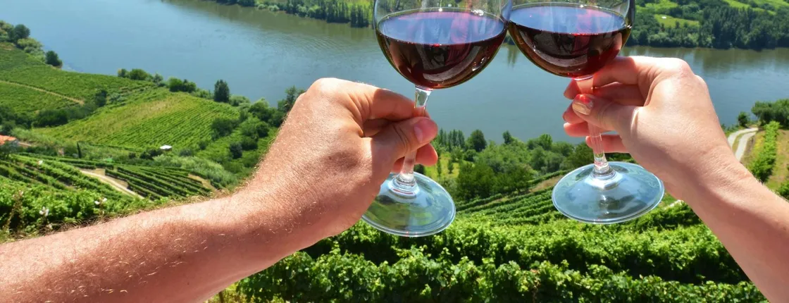 Guided tour of the Douro with river cruise and wine estates' visit