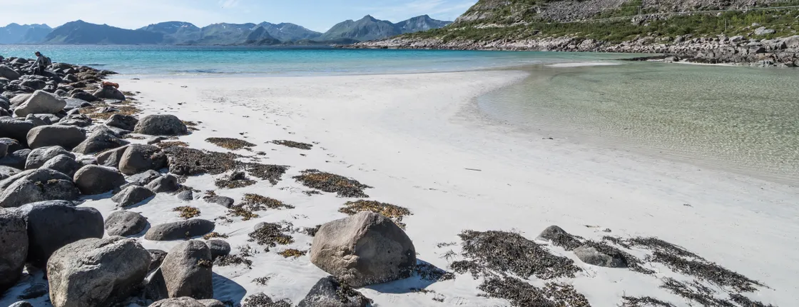 Lofoten Summer Panoramic Tour