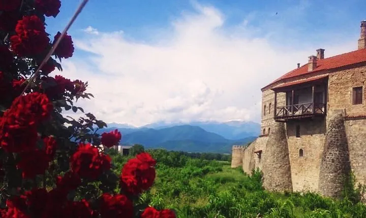 Kaheti One Day wine tasting and sightseeing Tour 2022