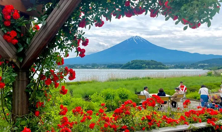 Mt Fuji Private Tour with English Speaking Driver