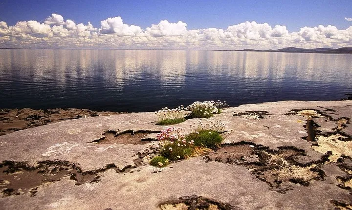 Stones & Stories Private Walk. Burren, Co Clare. Guided. 2 hours.