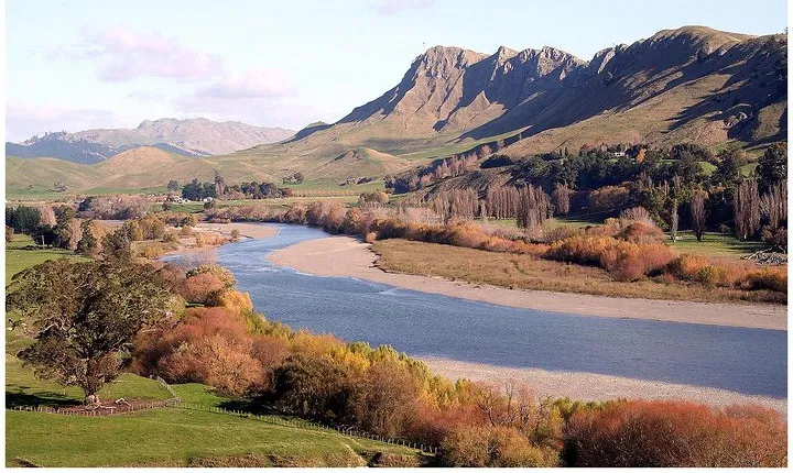 Shore Excursion: 4-Hour Discover Hawkes Bay and Napier Tour