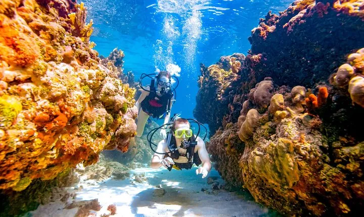 Scuba Beginner Diving and Snorkeling with Lunch From Hurghada