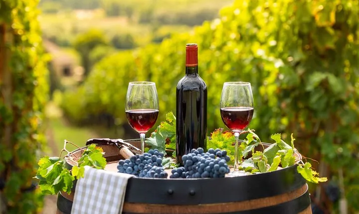 A Private Winelands Full Day Tour for Couples.