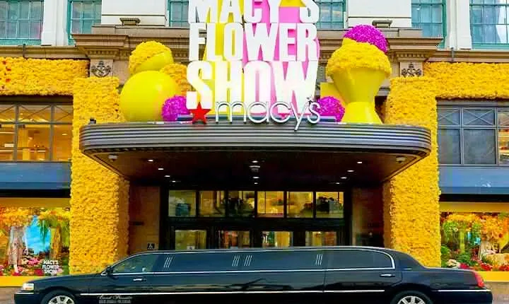 3 Hour NYC Private Limousine Tour