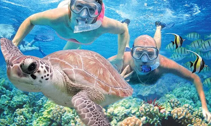 Kauai’s Ultimate Guided Shore Snorkel: South Poipu