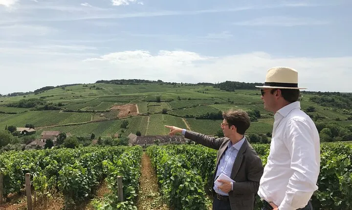 Full day from Beaune: the most of Burgundy, with lunch